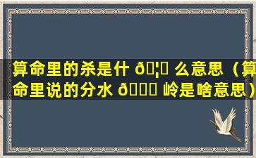 算命里的杀是什 🦁 么意思（算命里说的分水 🕊 岭是啥意思）